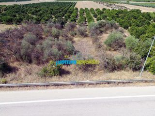 Αγροτεμάχια 3.900 τ.μ. για πώληση, Αργολίδα, Μυκήνες-thumb-8
