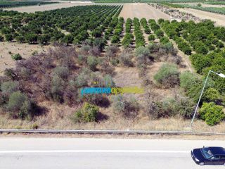 Αγροτεμάχια 3.900 τ.μ. για πώληση, Αργολίδα, Μυκήνες-thumb-5