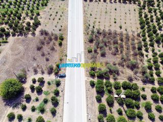 Αγροτεμάχια 3.900 τ.μ. για πώληση, Αργολίδα, Μυκήνες-thumb-1
