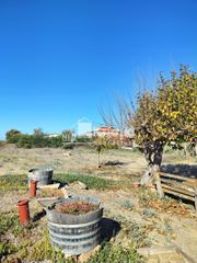 Άλλο 77 τ.μ. για ενοικίαση, Ν. Ηλείας, Πύργος-thumb-15