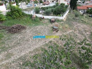 Οικόπεδο 554 τ.μ. για πώληση, Αργολίδα, Μυκήνες-thumb-7