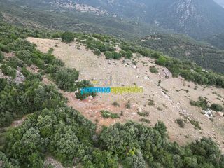 Αγροτεμάχια 18.601 τ.μ. προς πώληση, Κρύα Βρύση Άργους-thumb-9