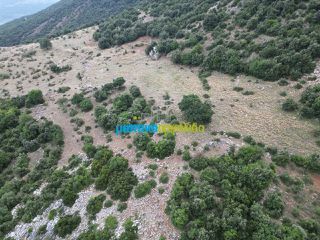 Αγροτεμάχια 18.601 τ.μ. προς πώληση, Κρύα Βρύση Άργους-thumb-11