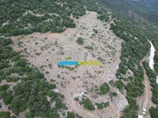 Αγροτεμάχια 18.601 τ.μ. προς πώληση, Κρύα Βρύση Άργους-thumb-3
