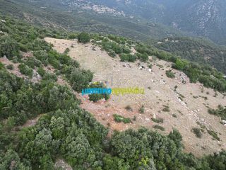 Αγροτεμάχια 18.601 τ.μ. προς πώληση, Κρύα Βρύση Άργους-thumb-10
