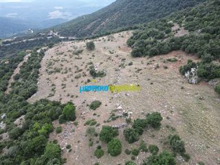 Αγροτεμάχια 18.601 τ.μ. προς πώληση, Κρύα Βρύση Άργους-thumb-14