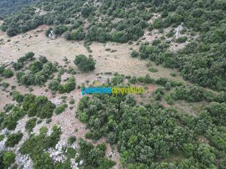 Αγροτεμάχια 18.601 τ.μ. προς πώληση, Κρύα Βρύση Άργους-thumb-12