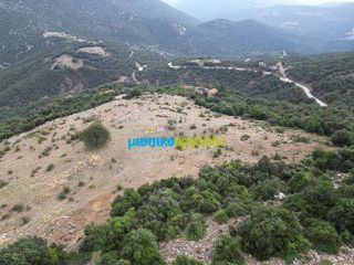 Αγροτεμάχια 18.601 τ.μ. προς πώληση, Κρύα Βρύση Άργους-thumb-7