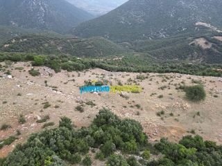Αγροτεμάχια 18.601 τ.μ. προς πώληση, Κρύα Βρύση Άργους-thumb-8