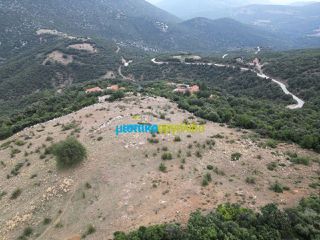 Αγροτεμάχια 18.601 τ.μ. προς πώληση, Κρύα Βρύση Άργους-thumb-6