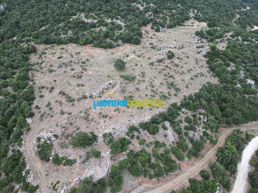 Αγροτεμάχια 18.601 τ.μ. πρός πώληση, Αργολίδα, Άργος
