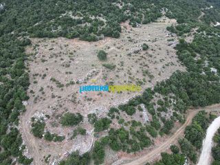 Αγροτεμάχια 18.601 τ.μ. προς πώληση, Κρύα Βρύση Άργους-thumb-2