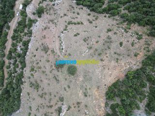 Αγροτεμάχια 18.601 τ.μ. προς πώληση, Κρύα Βρύση Άργους-thumb-17