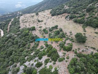 Αγροτεμάχια 18.601 τ.μ. προς πώληση, Κρύα Βρύση Άργους-thumb-13