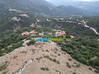 Αγροτεμάχια 18.601 τ.μ. προς πώληση, Κρύα Βρύση Άργους-thumb-5