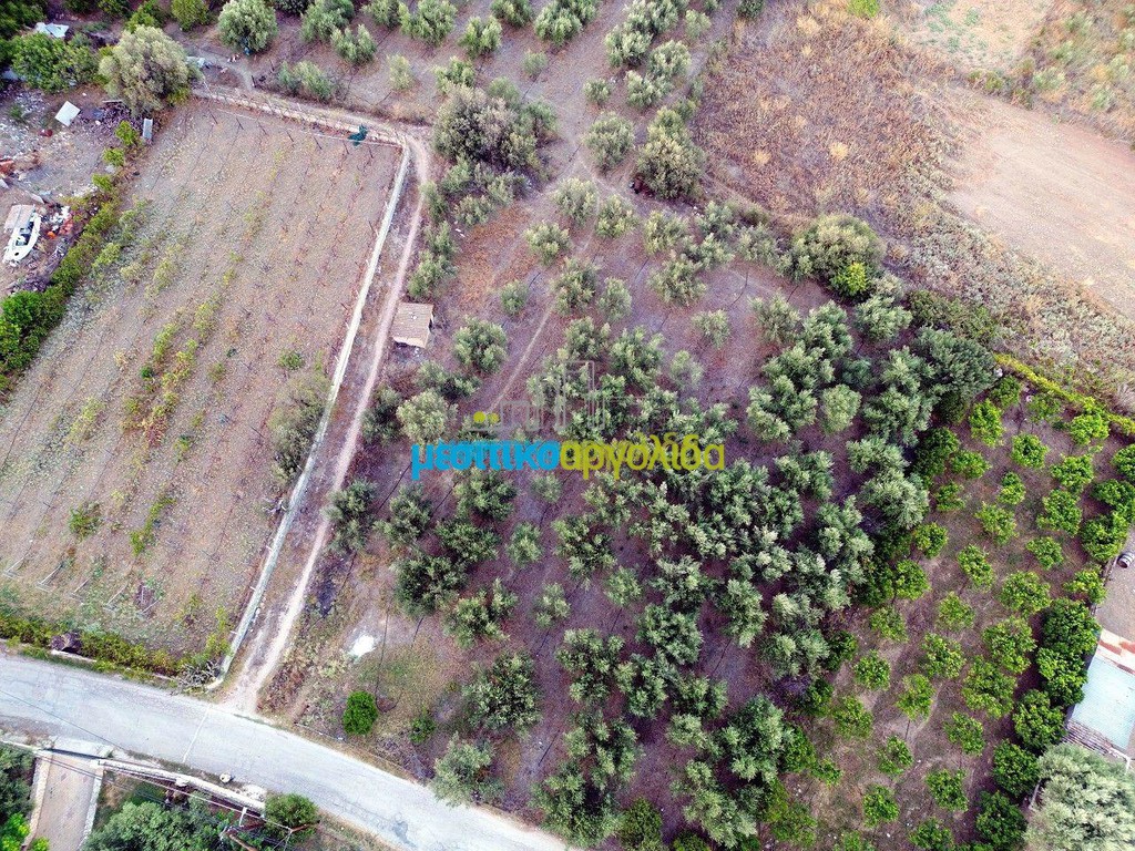 Οικόπεδο 949 τ.μ. προς πώληση, Αγία Παρασκευή Ασίνης