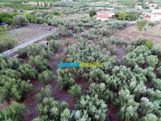 Οικόπεδο 949 τ.μ. πρός πώληση, Αργολίδα, Ασίνη-thumb-17