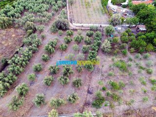 Οικόπεδο 949 τ.μ. πρός πώληση, Αργολίδα, Ασίνη-thumb-15
