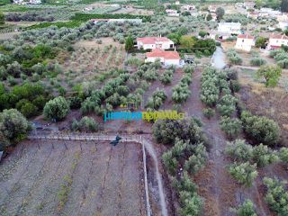 Οικόπεδο 949 τ.μ. πρός πώληση, Αργολίδα, Ασίνη-thumb-14