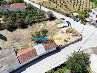 Οικόπεδο 1.300 τ.μ. για πώληση, Αργολίδα, Άργος-thumb-8