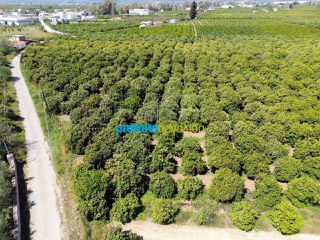 Οικόπεδο 11.304 τ.μ. για πώληση, Αργολίδα, Άργος-thumb-14
