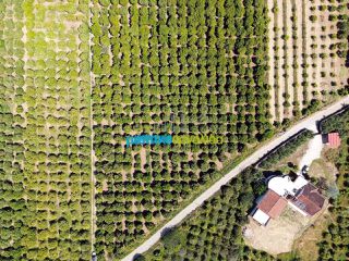 Οικόπεδο 11.304 τ.μ. για πώληση, Αργολίδα, Άργος-thumb-5