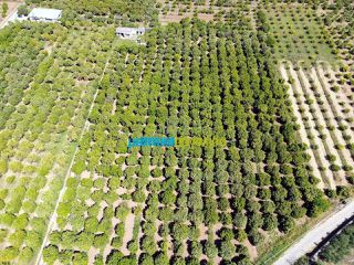 Οικόπεδο 11.304 τ.μ. για πώληση, Αργολίδα, Άργος-thumb-6