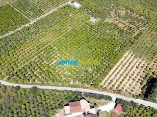 Οικόπεδο 11.304 τ.μ. για πώληση, Αργολίδα, Άργος-thumb-3