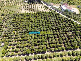 Οικόπεδο 11.304 τ.μ. για πώληση, Αργολίδα, Άργος-thumb-16