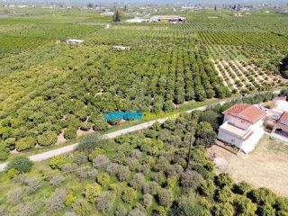 Οικόπεδο 11.304 τ.μ. για πώληση, Αργολίδα, Άργος-thumb-8
