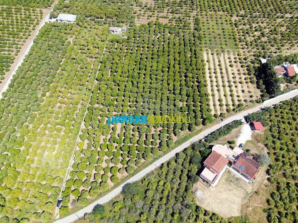 Οικόπεδο 11.304 τ.μ. προς πώληση, Δαλαμανάρα