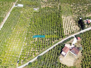 Οικόπεδο 11.304 τ.μ. για πώληση, Αργολίδα, Άργος-thumb-1