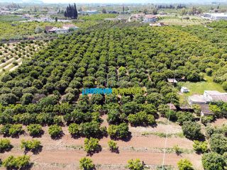 Οικόπεδο 11.304 τ.μ. για πώληση, Αργολίδα, Άργος-thumb-10