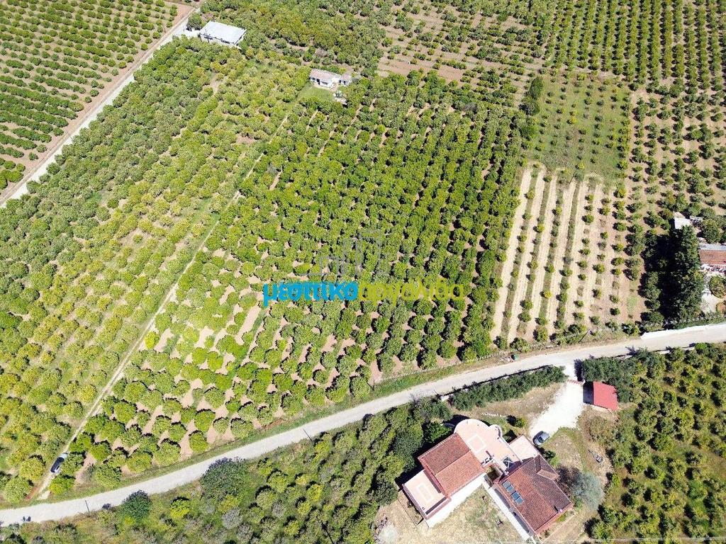 Οικόπεδο 11.304 τ.μ. προς πώληση, Δαλαμανάρα