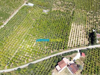 Οικόπεδο 11.304 τ.μ. για πώληση, Αργολίδα, Άργος-thumb-2