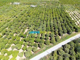 Οικόπεδο 11.304 τ.μ. για πώληση, Αργολίδα, Άργος-thumb-7
