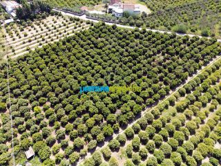 Οικόπεδο 11.304 τ.μ. για πώληση, Αργολίδα, Άργος-thumb-17