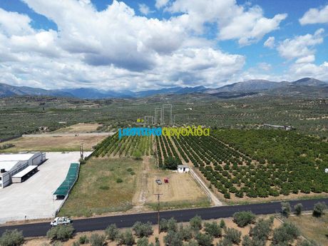Land plot 10.000sqm for sale-Koutsopodi