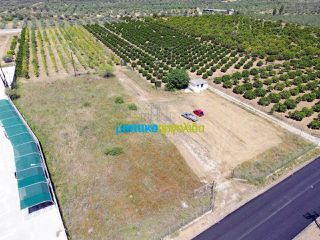 Οικόπεδο 10.000 τ.μ. για πώληση, Αργολίδα, Κουτσοπόδι-thumb-13