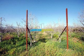 Οικόπεδο 10.000 τ.μ. για πώληση, Αργολίδα, Κουτσοπόδι-thumb-19