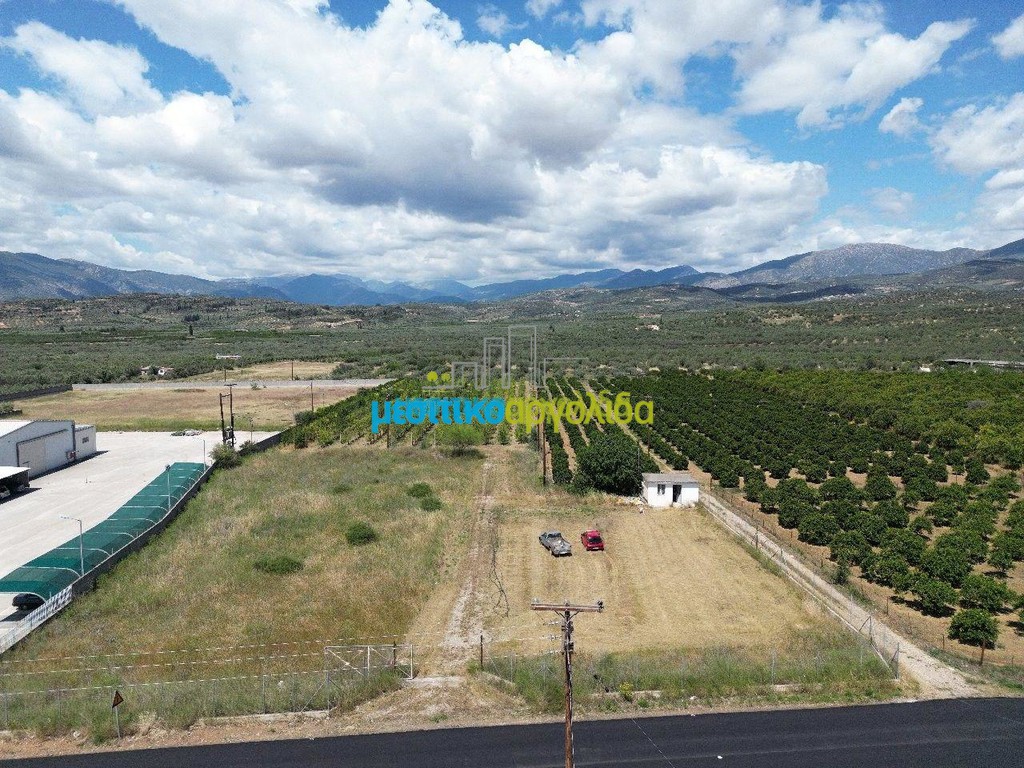 Οικόπεδο 10.000 τ.μ. προς πώληση, Κέντρο Κουτσοποδίου