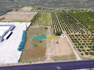 Οικόπεδο 10.000 τ.μ. για πώληση, Αργολίδα, Κουτσοπόδι-thumb-14