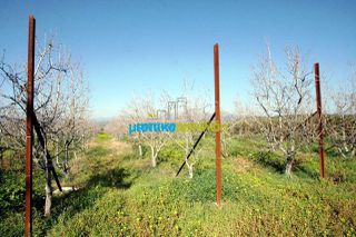 Οικόπεδο 10.000 τ.μ. για πώληση, Αργολίδα, Κουτσοπόδι-thumb-24