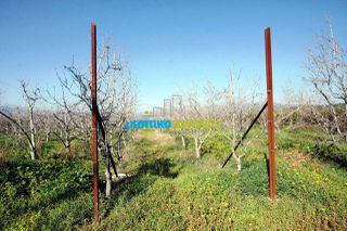Οικόπεδο 10.000 τ.μ. για πώληση, Αργολίδα, Κουτσοπόδι-thumb-23