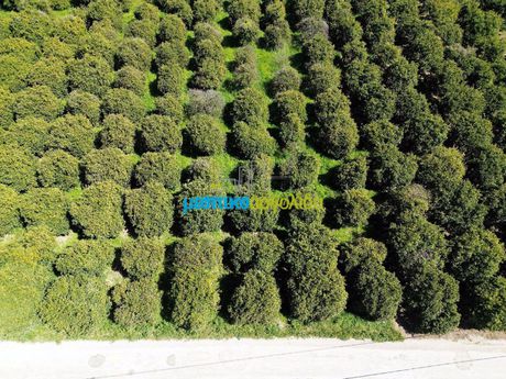 Land plot 4.850sqm for sale-Argos