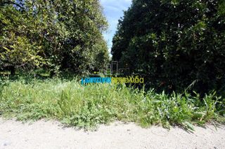 Οικόπεδο 4.850 τ.μ. για πώληση, Αργολίδα, Άργος-thumb-10