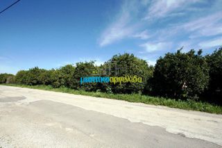 Οικόπεδο 4.850 τ.μ. για πώληση, Αργολίδα, Άργος-thumb-11