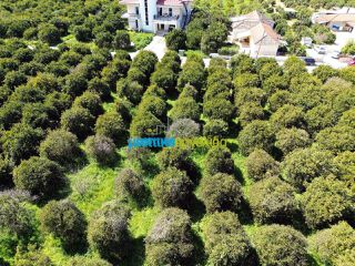 Οικόπεδο 4.850 τ.μ. για πώληση, Αργολίδα, Άργος-thumb-4