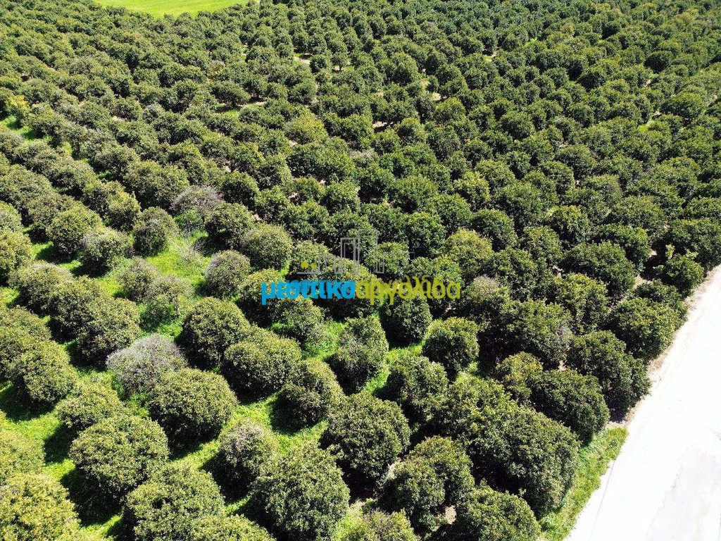 Οικόπεδο 4.850 τ.μ. προς πώληση, Άργος