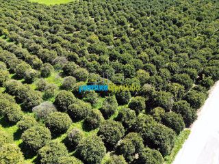 Οικόπεδο 4.850 τ.μ. για πώληση, Αργολίδα, Άργος-thumb-3